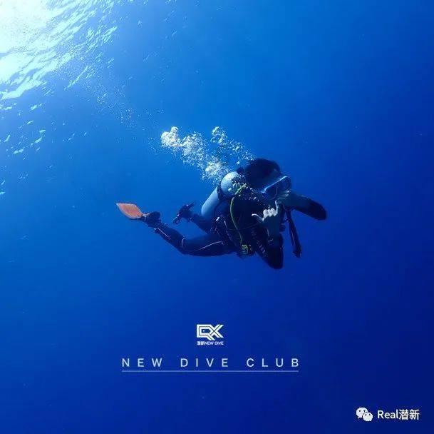 救援受困的小野猫