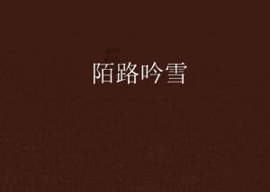 “老娘舅”的“开门红”